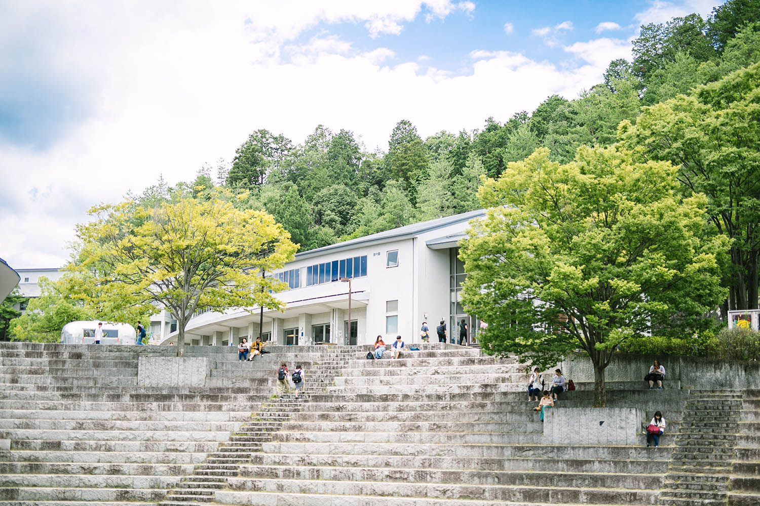 京都 精華 大学 落ち た