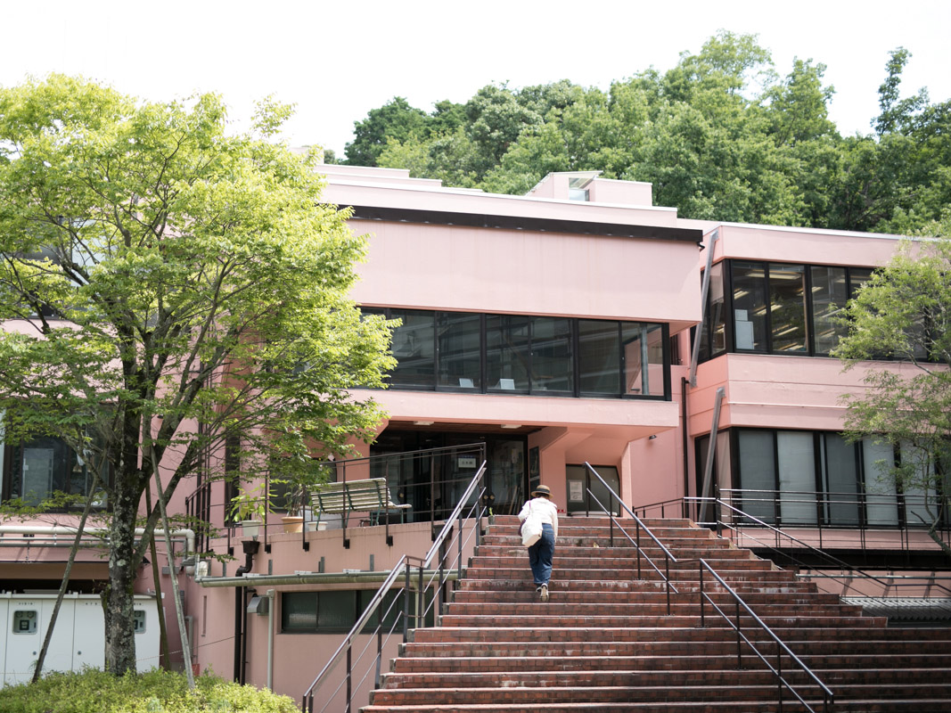 京都 精華 大学 落ち た