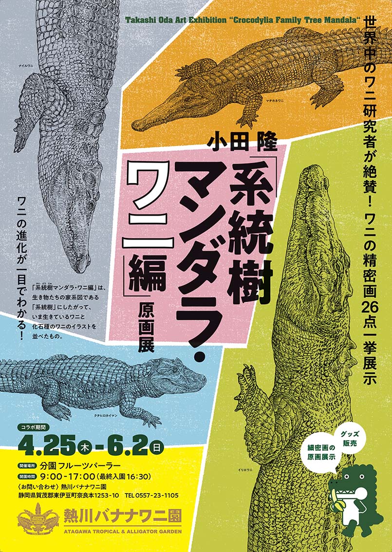 キャラクターデザインコース教員の小田 隆による原画展「系統樹