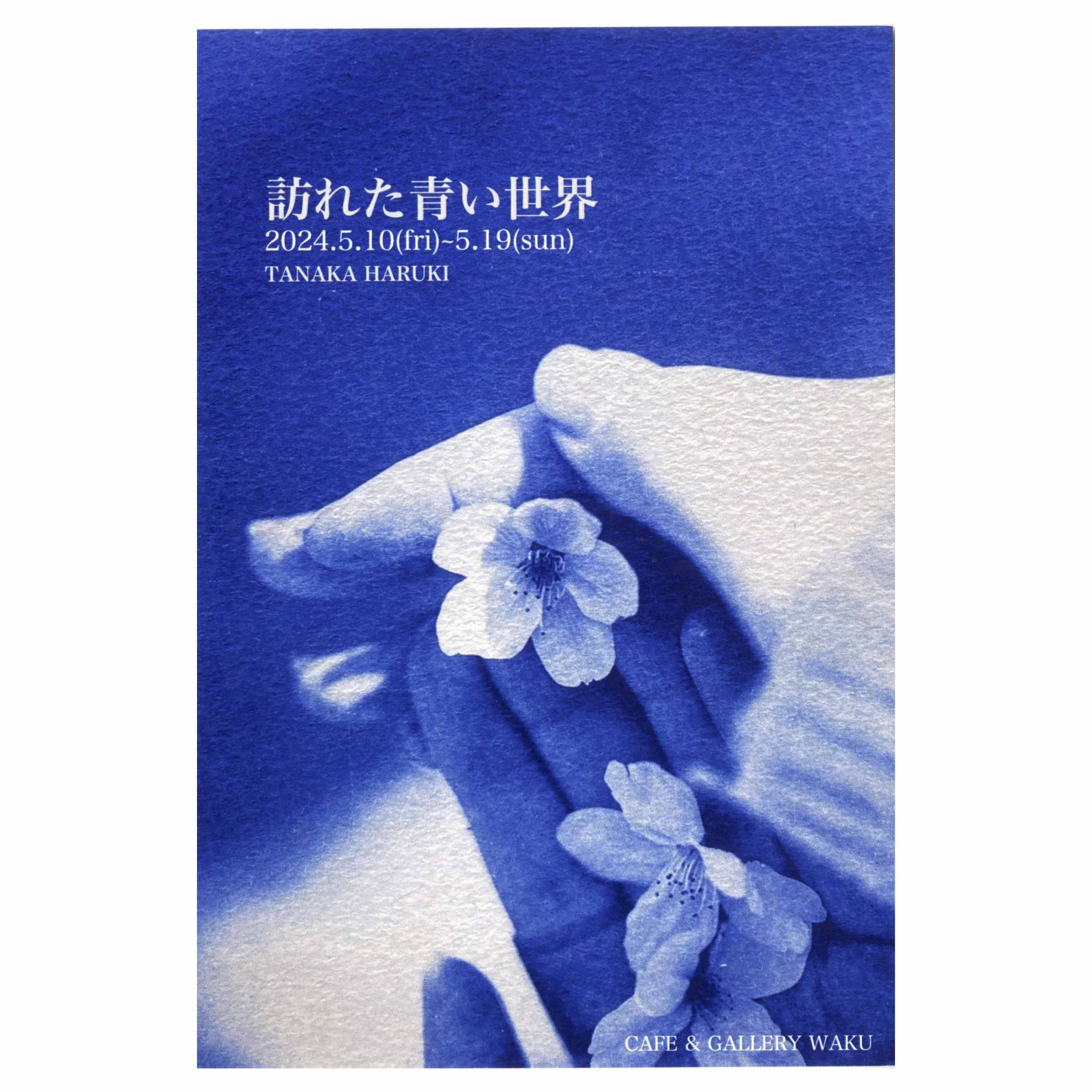版画専攻4年生の田中晴喜さんによる個展「訪れた青い世界」が