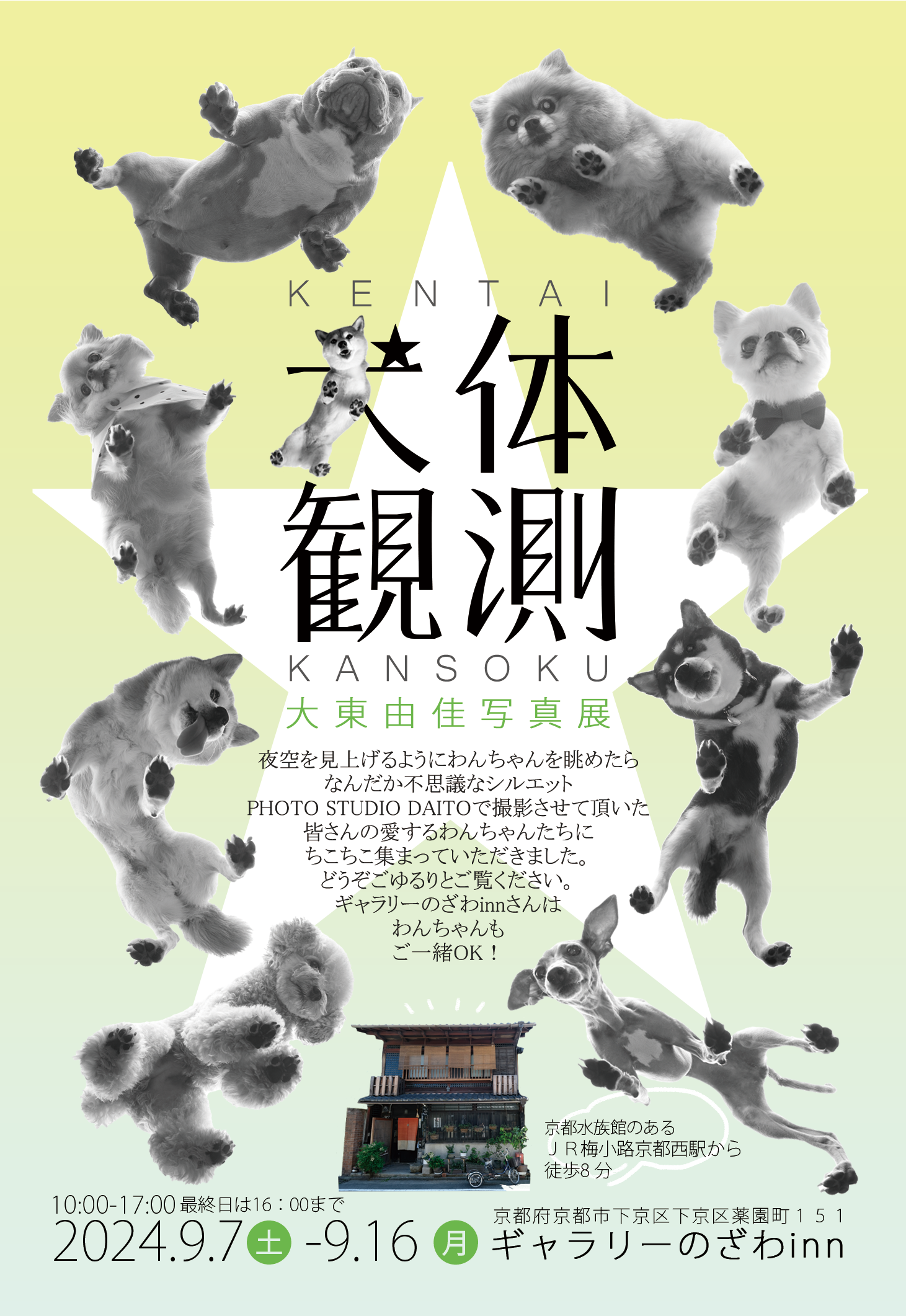 まろ様❤専用 lo 様 専用