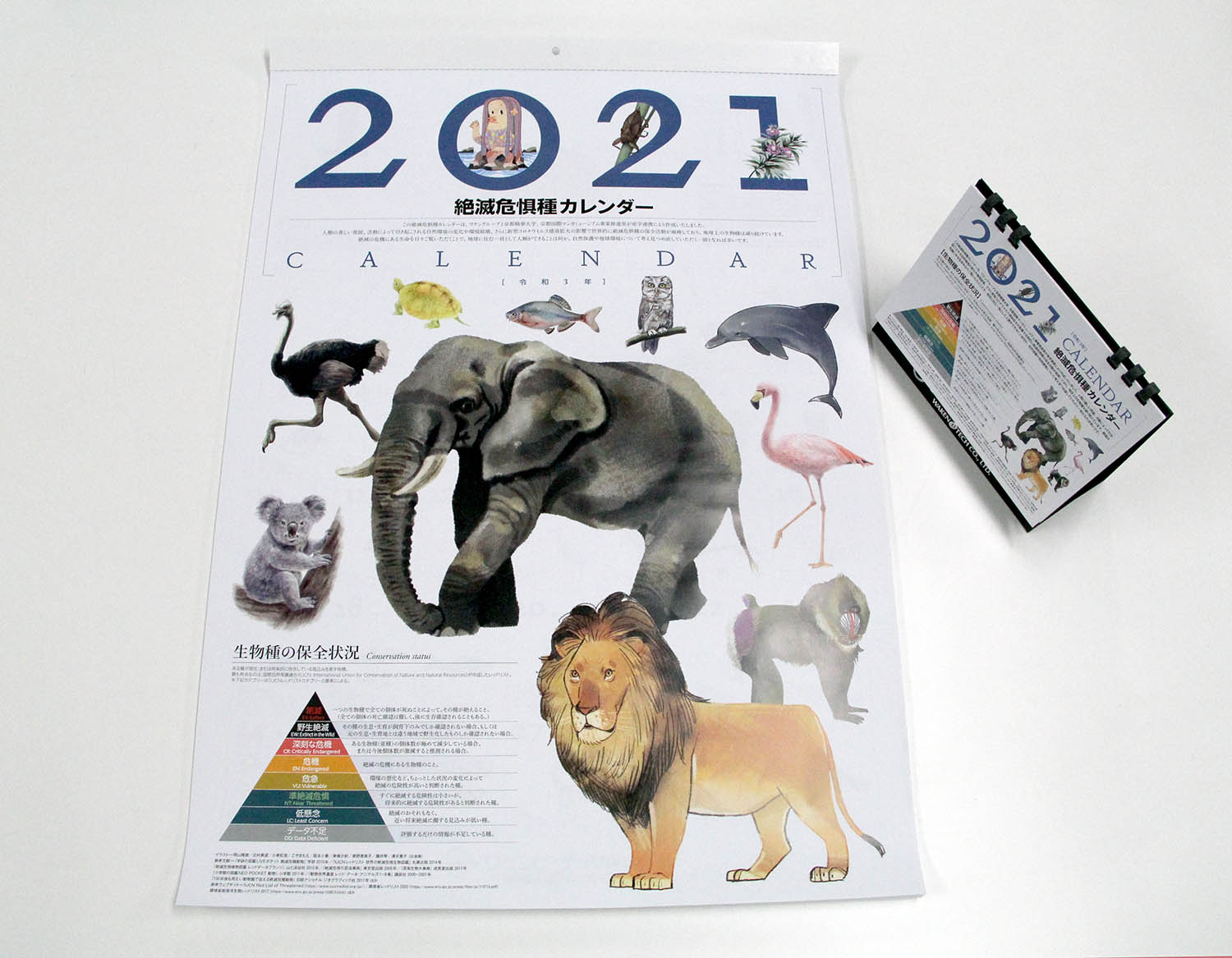マンガ学部在学生が ワケングループ21年度カレンダーの挿絵を制作 365日すべての日付に 絶滅危惧種に指定された動植物のイラストを掲載 京都精華大学