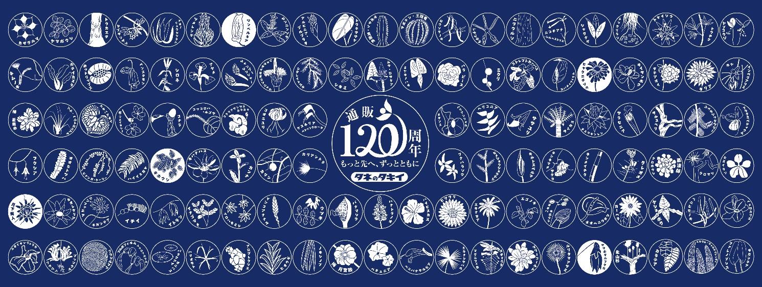 タキイ種苗との産学連携事業 学生が考案したZ世代向けの園芸企画第3弾