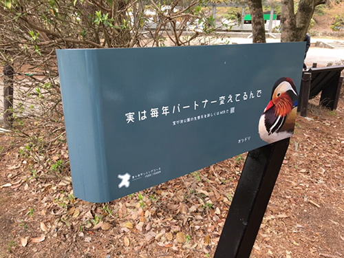 宝ヶ池公園サイン4